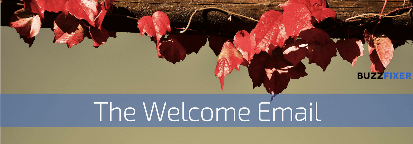 Emails that Convert: The Welcome email