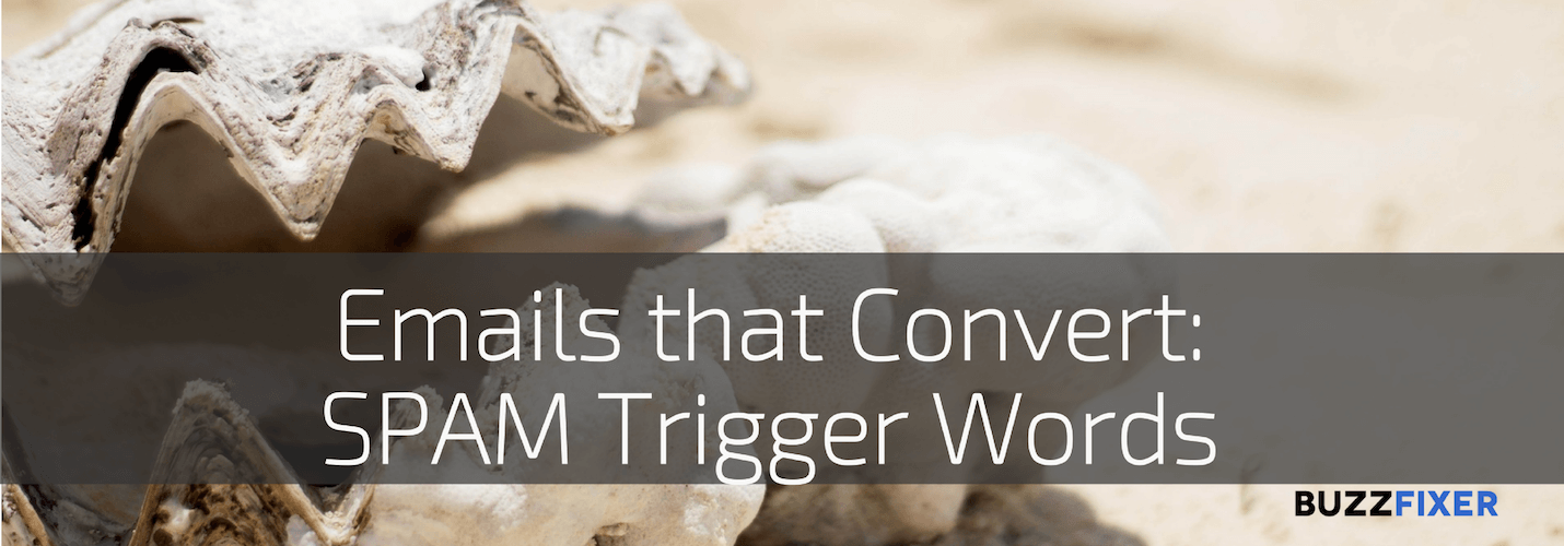 Emails that convert: Words that get you in the SPAM folder